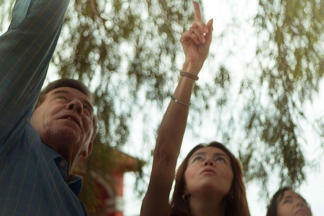 "Private Car and Driver - Passenger insurance -Master Artist's Studios -Weavers- - Key things I’d watch for before booking