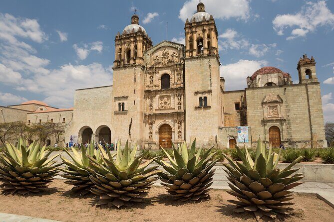 Private Historic City Tour + Street Food of Oaxaca - Best Rated - Pickup, meeting point, and how to not waste time