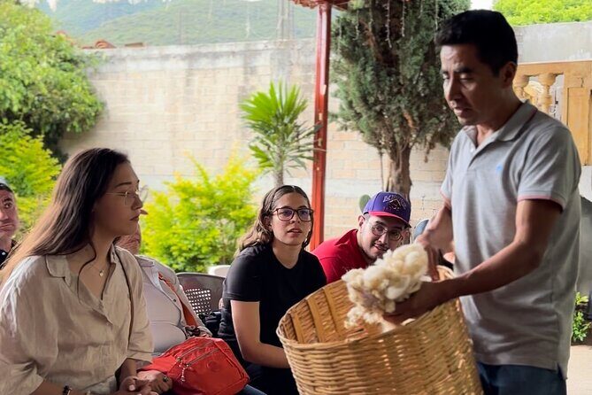 Private Monte Alban VIP : Mezcal and Zapoteco Art - A Private VIP Day in Oaxaca: What Makes It Different