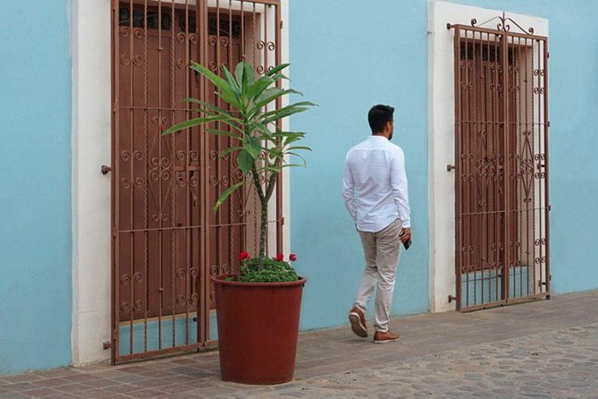 Private Oaxaca Walking Tour with Mezcal Tasting - A 3-hour Oaxaca walk that sets your day up