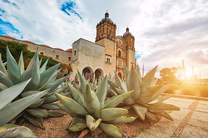 Private Oaxaca Walking Tour with Mezcal Tasting - Mercado Benito Juárez: the local routine, not a staged show