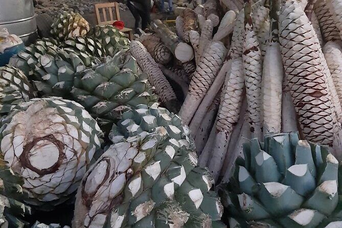 Private tour Mitla, Weavers town, Mezcal and Boil the water - Price and logistics: When $238 per group really adds up