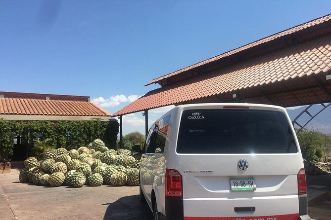 Private Tour to Hierve el Agua, Mezcal Tasting, and Textiles - Who This Tour Is Best For