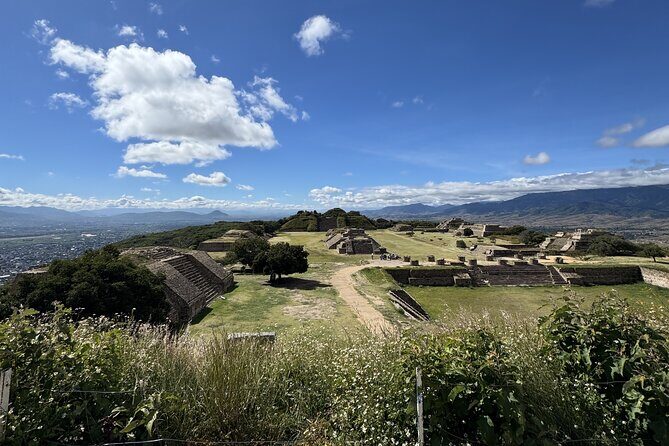 Private tour to Monte Alban and alebrijes and black mud and textiles - The morning start: meeting at 8:30 am with hotel pickup