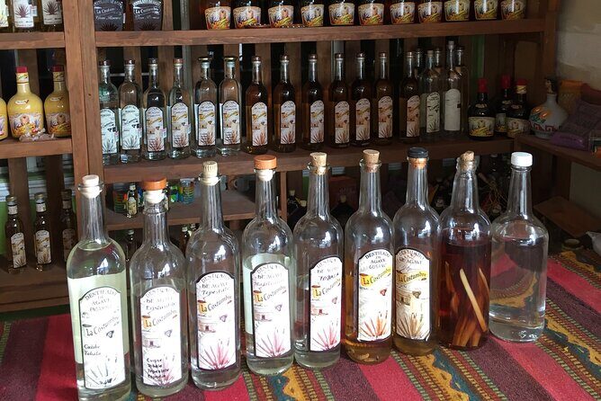 Real Mezcal Adventure - Small Group Size: The Real Difference You Feel