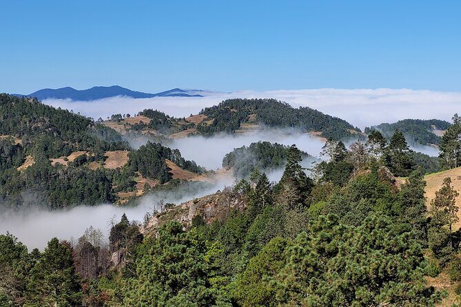 Sierra Norte Hike and Indigenous Village Full-Day Adventure - The day begins at Jalatlaco Church, then climbs fast