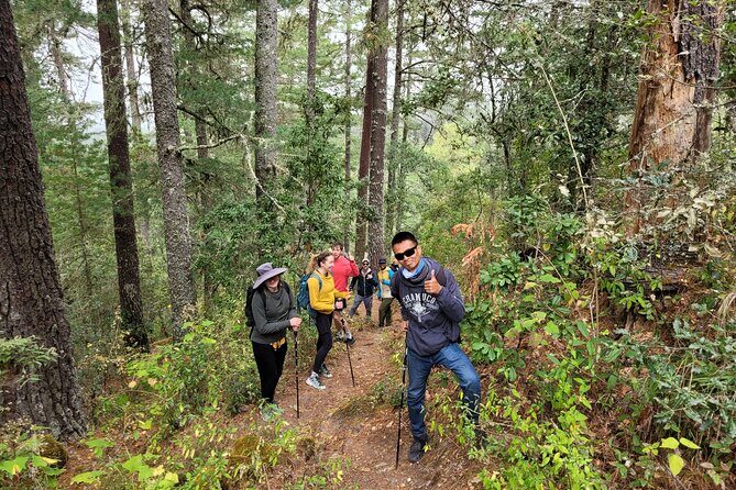 Sierra Norte Hike and Indigenous Village Full-Day Adventure - Views, native plants, ferns, giant agaves, and birds