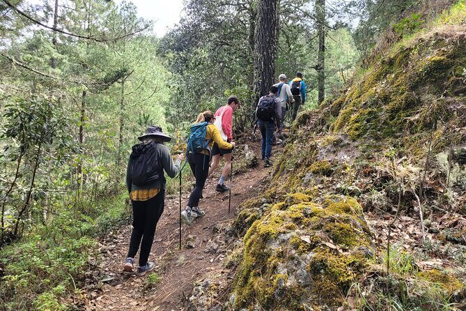 Sierra Norte Hike and Indigenous Village Full-Day Adventure - Lunch in the Indigenous village: homemade mountain cuisine and local guidance