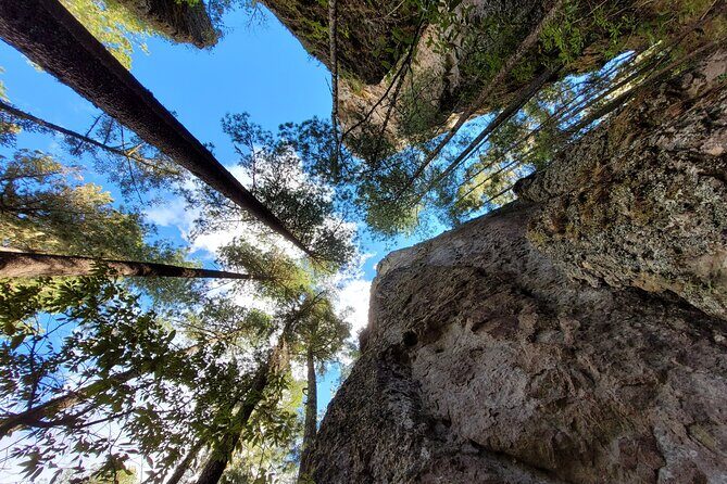 Sierra Norte Hike and Indigenous Village Full-Day Adventure - Timing, cold weather, and what to pack so the hike stays fun
