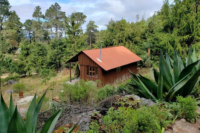 Sierra Norte Hike and Indigenous Village Full-Day Adventure - Price and value: what $107.54 really covers