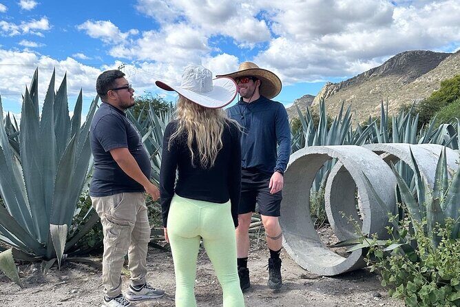 Small Group Boerve del Agua and Mezcal Tour from Oaxaca Centro - Stop 2: the artisanal bread tasting, and why it divides opinions