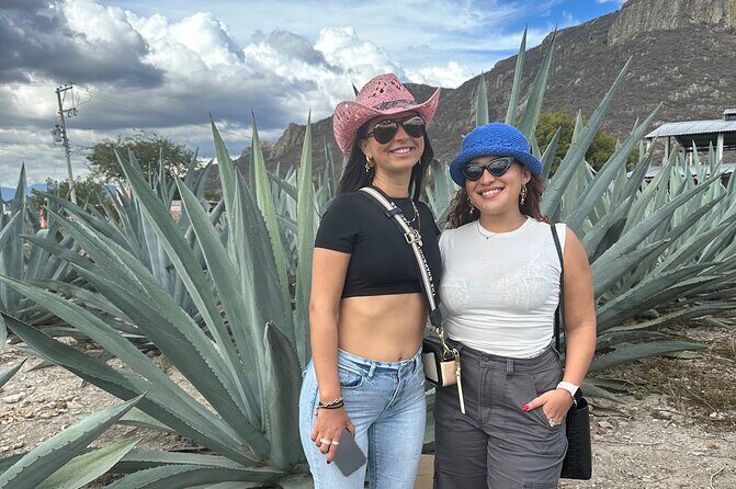 Small Group Boerve del Agua and Mezcal Tour from Oaxaca Centro - Tlacolula mezcal production: tastings plus the story behind agave