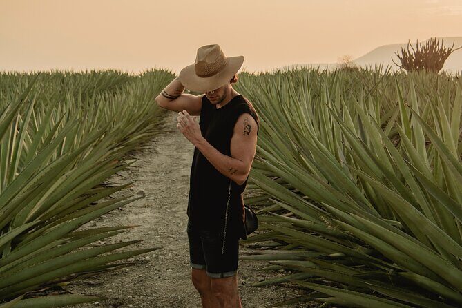 The Mezcal Journey - Key highlights I’d plan around
