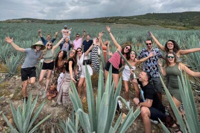 The Mezcal Journey - Campo Enigma and the agave fields: where photos are easy and lessons stick