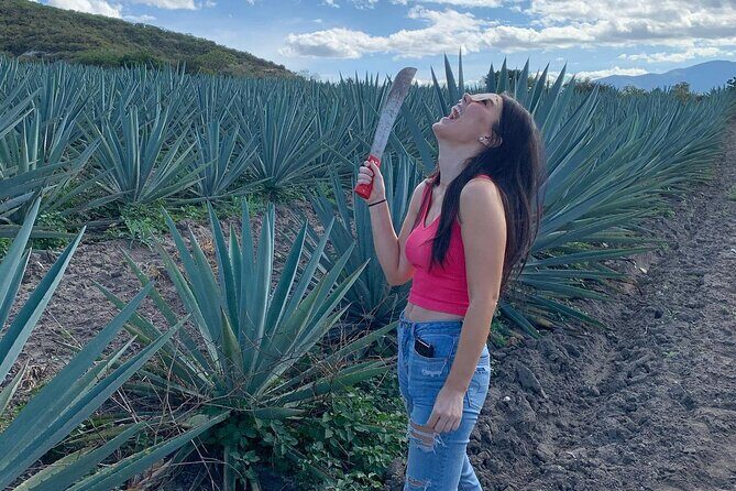 The Mezcal Journey - The return van, timing, and the small-group pace that makes it workable