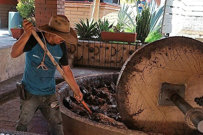 The Mezcal Tour - Key things to know before you go