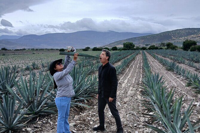 The Mezcal Tour - Tule Tree Stop: Quick, iconic, and well timed
