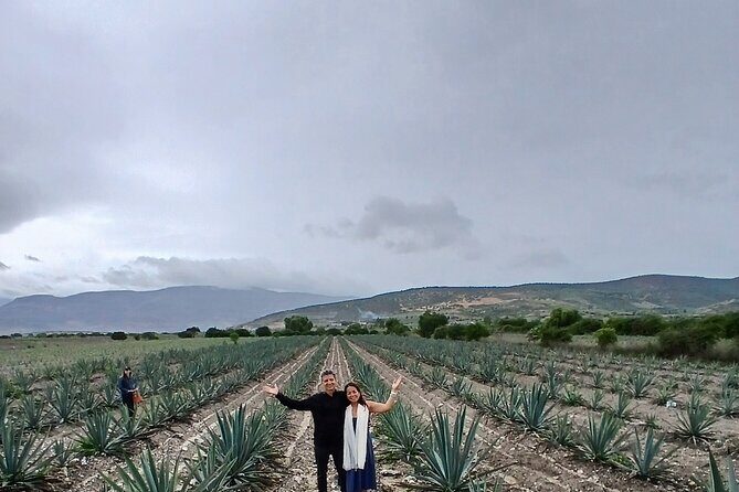 The Mezcal Tour - Inside the palenque: How mezcal is made (and why it matters)