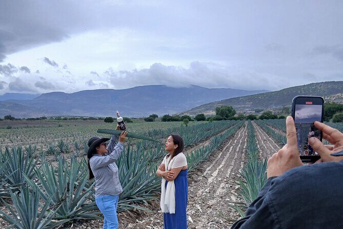 The Mezcal Tour - The barrimobile ride: Bumpy fun with real scenery