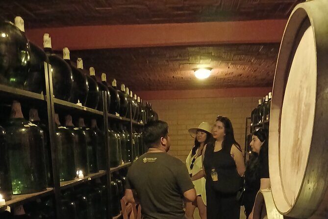 The Mezcal Tour - Mezcal tastings: Up to seven varieties, plus a practical comparison