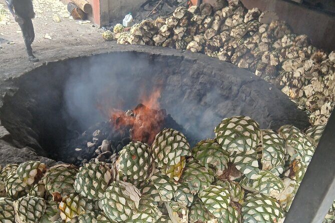The Mezcal Tour - Time on the clock: What a 5-hour day feels like