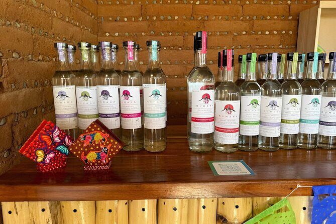 Tour in Oaxaca Monte Alban Mezcal Alebrijes and Barro Negro - Price and value: what you’re paying for (and what can cost extra)