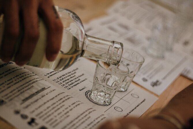 Tour of Mezcalerias in the City - The Route: Cuish Mezcaleria, COZOBI Sensory Tasting, Teolab Foodlab, and Etnofood Pairing