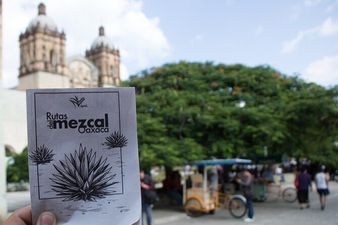 Tour of Mezcalerias in the City - Timing and Logistics: Why a 5:00 pm Start Works in Oaxaca