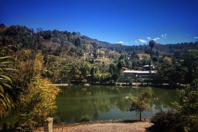 Tour of the Sierra Juárez, Ixtlán, Guelatao and Capulálpam - Laguna Encantada: A Quiet Hour to Actually Look