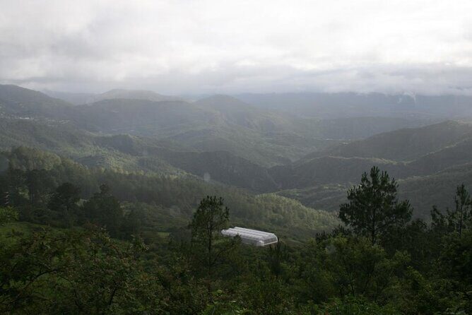 Tour of the Sierra Juárez, Ixtlán, Guelatao and Capulálpam - Who This Tour Fits Best (and Who Might Want Another Option)