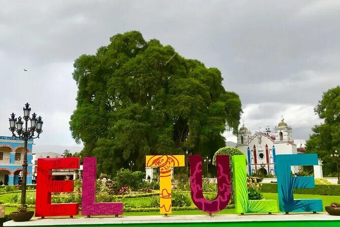 Tour to artisan towns of Oaxaca - Teotitlán del Valle Wool Rugs and Natural Dyes: Color With a Method