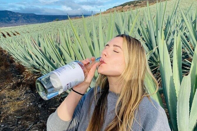 Tradicional Mezcal Experience in Oaxaca-Visit a Family Distillery - Key highlights at a glance