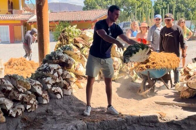 Tradicional Mezcal Experience in Oaxaca-Visit a Family Distillery - Oaxaca City to Mitla: the drive that sets the mood
