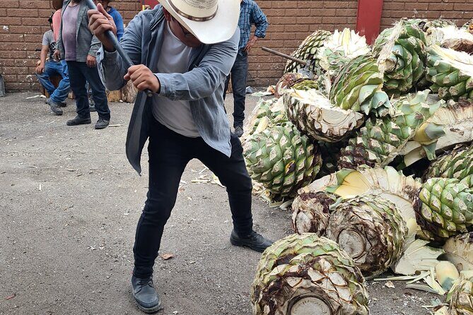 Tradicional Mezcal Experience in Oaxaca-Visit a Family Distillery - Who this tour suits best (and who might not love it)