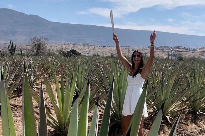 Tradicional Mezcal Experience in Oaxaca-Visit a Family Distillery - Stop 2: Inside the family palenque—how the process shapes flavor