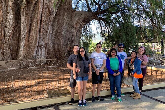 Tule, Mitla & Hierve el Agua Full-Day Tour with Certified Guide - Hierve el Agua: Petrified Waterfalls and Viewpoints Done at the Right Tempo