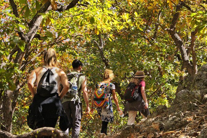 Ultimate Hierve el Agua Hike + Mezcal - The hike + swimming rhythm: pools, waterfall views, and two tough sections